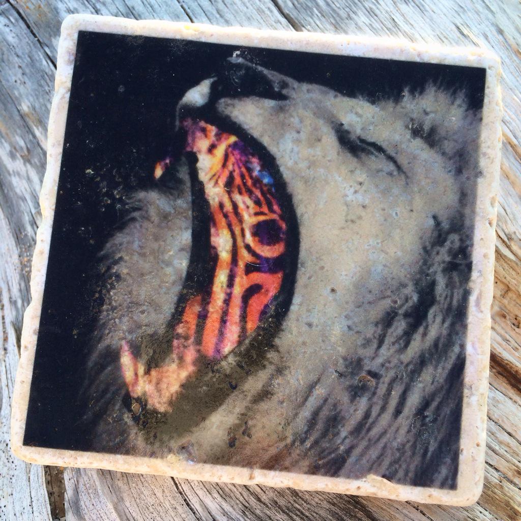 taramazzeo's tweet photo. #handmade #homeware with heart ✨ avail in #bungalowwilde shop on #etsy ✨ #roar #meowlicious http://t.co/tBD0DZrwi1