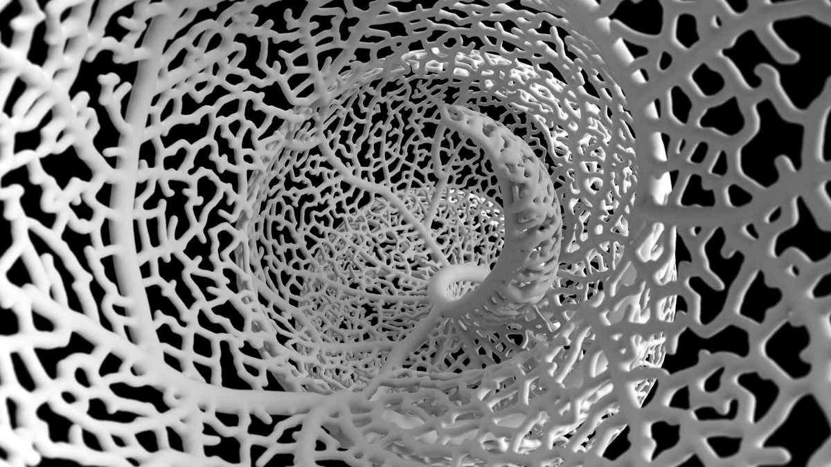 nervous_jessica's tweet image. inside #hyphae