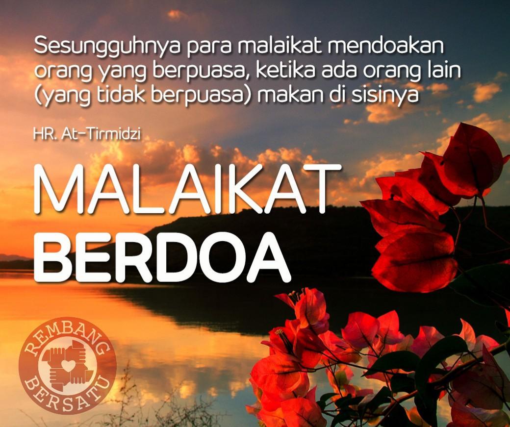 romiwandi's tweet photo. Malaikat berdoa @PemudaMuslimCom @TweetInspira @LaskarSHAUM #bangunindonesia #rembangbersatu http://t.co/5VOSycFj4i