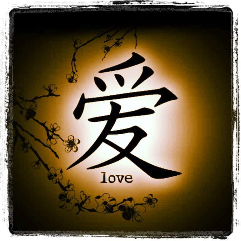 IM4U5598's tweet photo. @Cal1forniaBab3 http://t.co/2o7qmEPARd