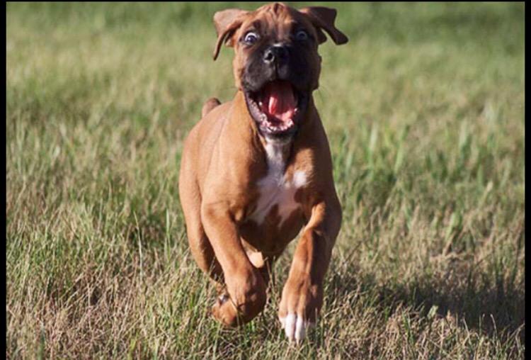 MFaulkner11's tweet photo. How I feel about the fact that @nowcamps is right around the corner!!!!! http://t.co/UMDwxvOlck