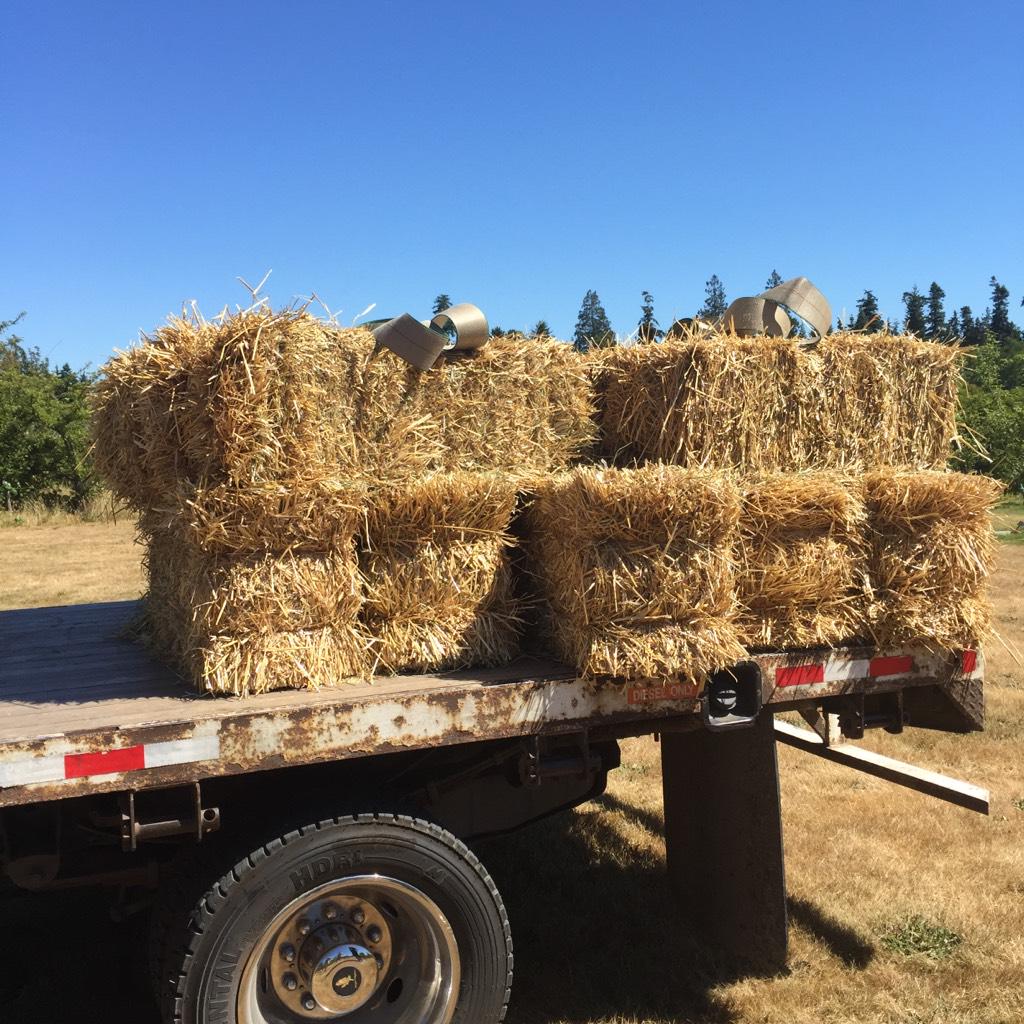 Farmhouse Fest tweet media