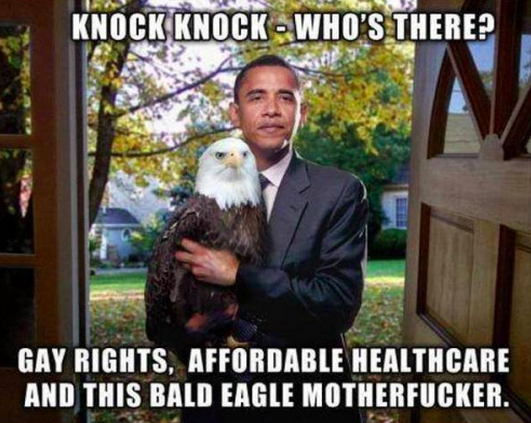 BuzzFeed tweet media