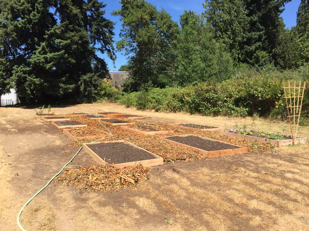 WHSTEMAcademy's tweet image. West Hills STEM is GROWING! Garden beds going in! Thank you to all the volunteers! #seedsofgrace