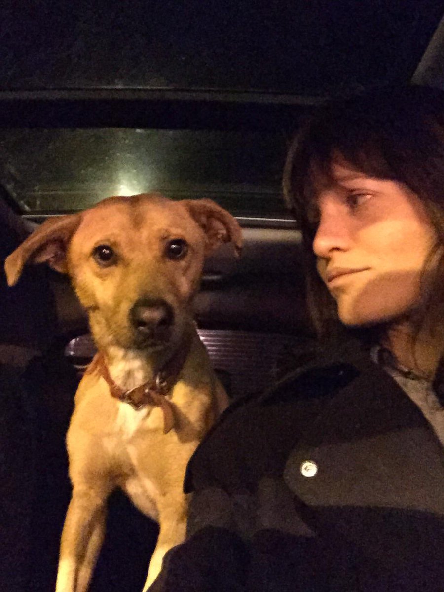 DIFUSION X FAVOR!
Encontrado en Av. Irigoyen al 2200, mediano, de 1 año aprox. Collar rojo, perdido o aboandonado.