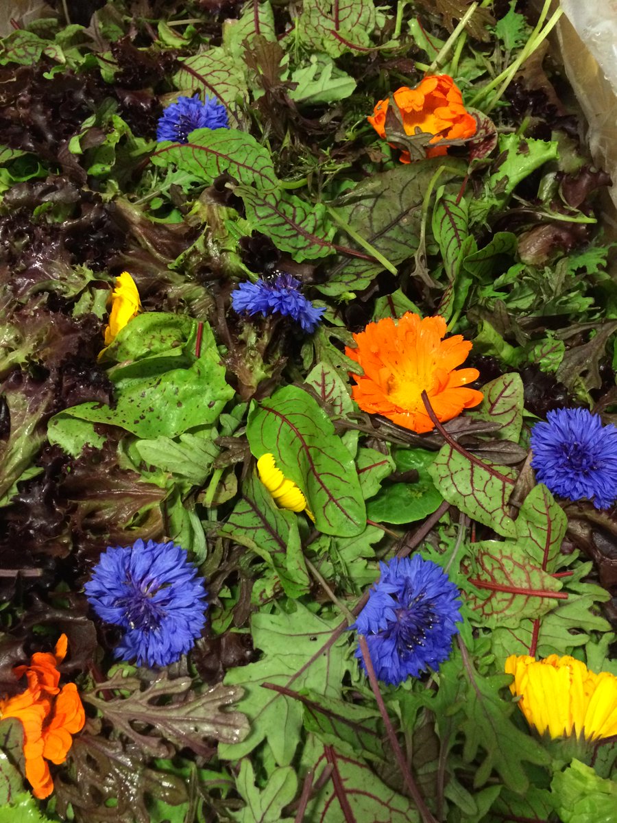 We celebrate the weekend -- and what a weekend! -- with flowers. <a href="/countylinesouth/">County Line Harvest</a> #Salad Mix. #producepride #sf