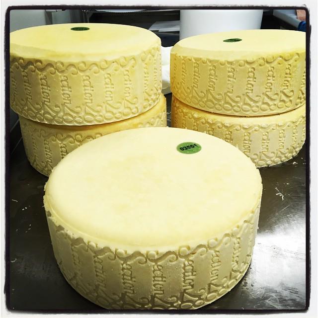 s28Cheeses's tweet photo. Yesterday's make. #Monforte!! http://t.co/hNGIRBhucF http://t.co/yzTly9syUP
