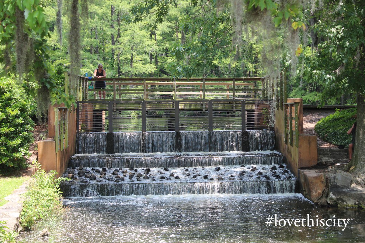 CityofWilm's tweet photo. Have a wonderful weekend, #wilmingtonnc! Welcome to all our visitors. #lovethiscity #greenfieldlakepark http://t.co/1nN0UPB6Gc