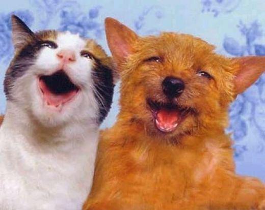 reginac66472149's tweet photo. @edna2002 @PilatosP @GercinoPE_SP @_Helio1 @devassasim @helenadebivar @Marcosrhous @on_tall É noite de sexta #Ebaaaaa http://t.co/bTna020Z2A