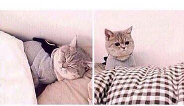 when you have a weird dream about someone  wake up feeling completely different about them