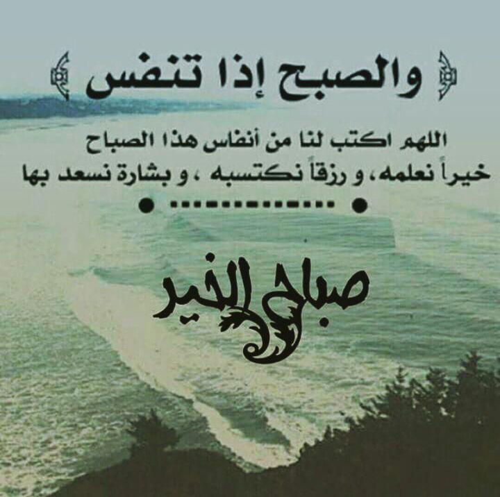 MalikAssim's tweet photo. @UsamaAlRahbi ok usama http://t.co/JxvIqWo4HZ