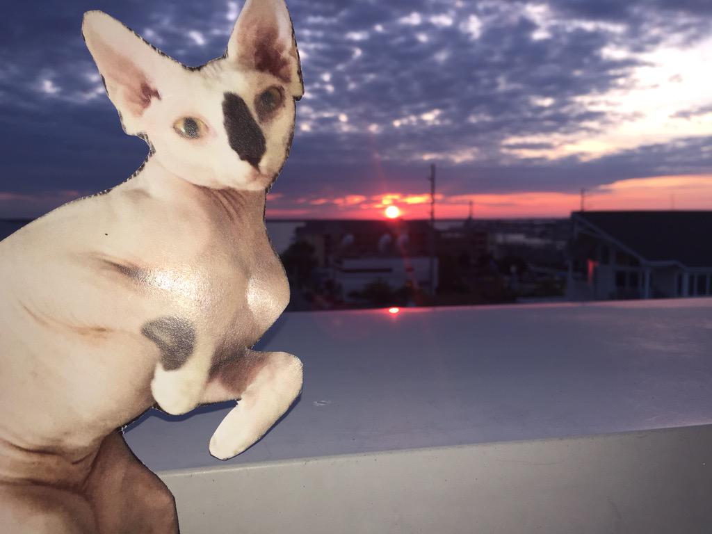 TravelingTally's tweet photo. Enjoying this beautiful sunset in Ocean City! http://t.co/3IcVIYlZuF
