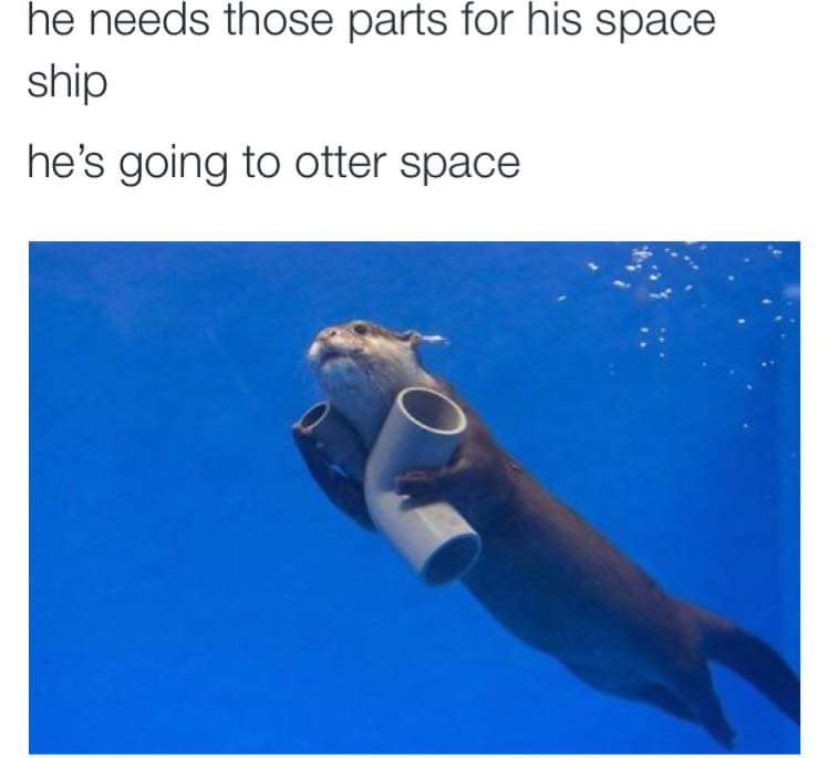 JerEdFar's tweet photo. #Ottermemes http://t.co/1DX3vM0QWR
