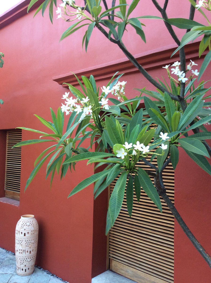 HotelCasona de Tita on Twitter: HotelCasona de Tita on Twitter: