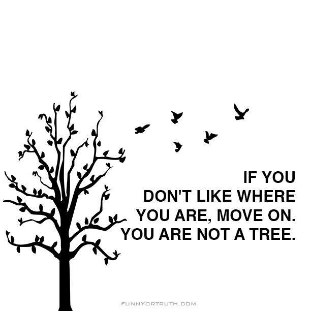 wordstionary tweet picture