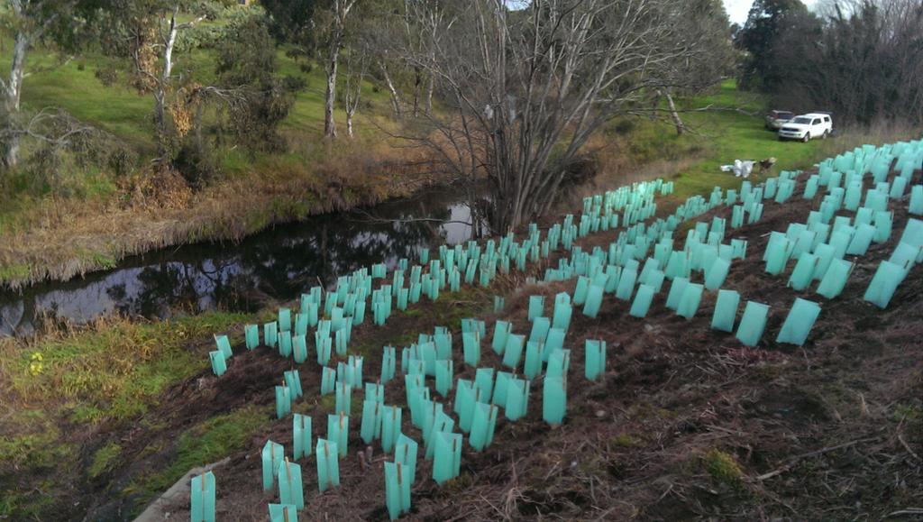 FOKCreek's tweet photo. Just finished putting in plants along #Kororoit creek in #MelbsWest #Sunshine. Great #Community effort http://t.co/Hmn5qARAQ0