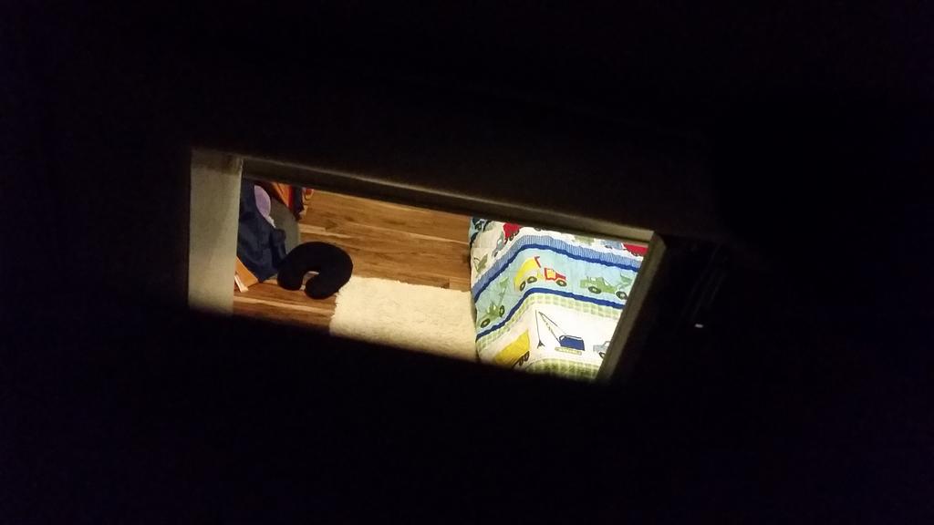 tayley1124's tweet photo. Hide n go seek extraordinaire http://t.co/OFymnZ8K7v