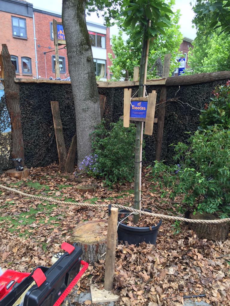 KunstenOpStraat Hgl tweet media