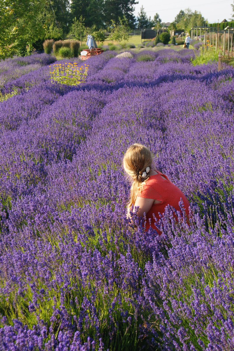 Oops, we made a mistake. @KelownaLavender's Art In The Garden (printed in our Summer issue) is on July 11th, 10-6!