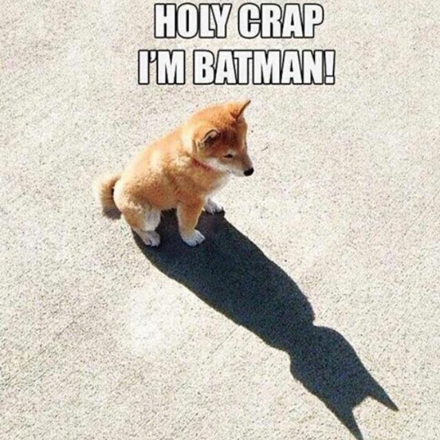 baelovesyou07's tweet photo. I'm batman #dedicatedlv #churchlv http://t.co/wcYNId1EG1
