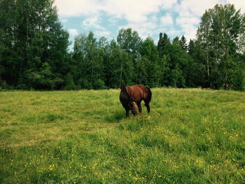 I saw You i sin hemmiljö😉