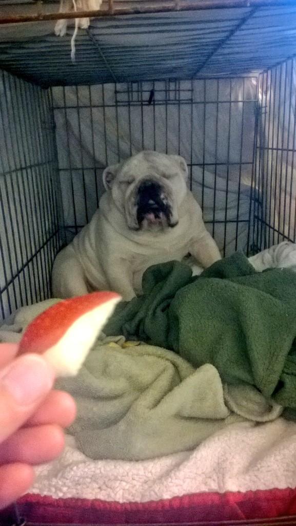 BryantTuppy's tweet photo. If I can't see you, you can't see me....right?? Not feeling it today.... #Saturday #SaturdayProbz http://t.co/jWQSYpo4cP