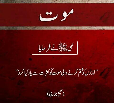 saifullah922 tweet picture