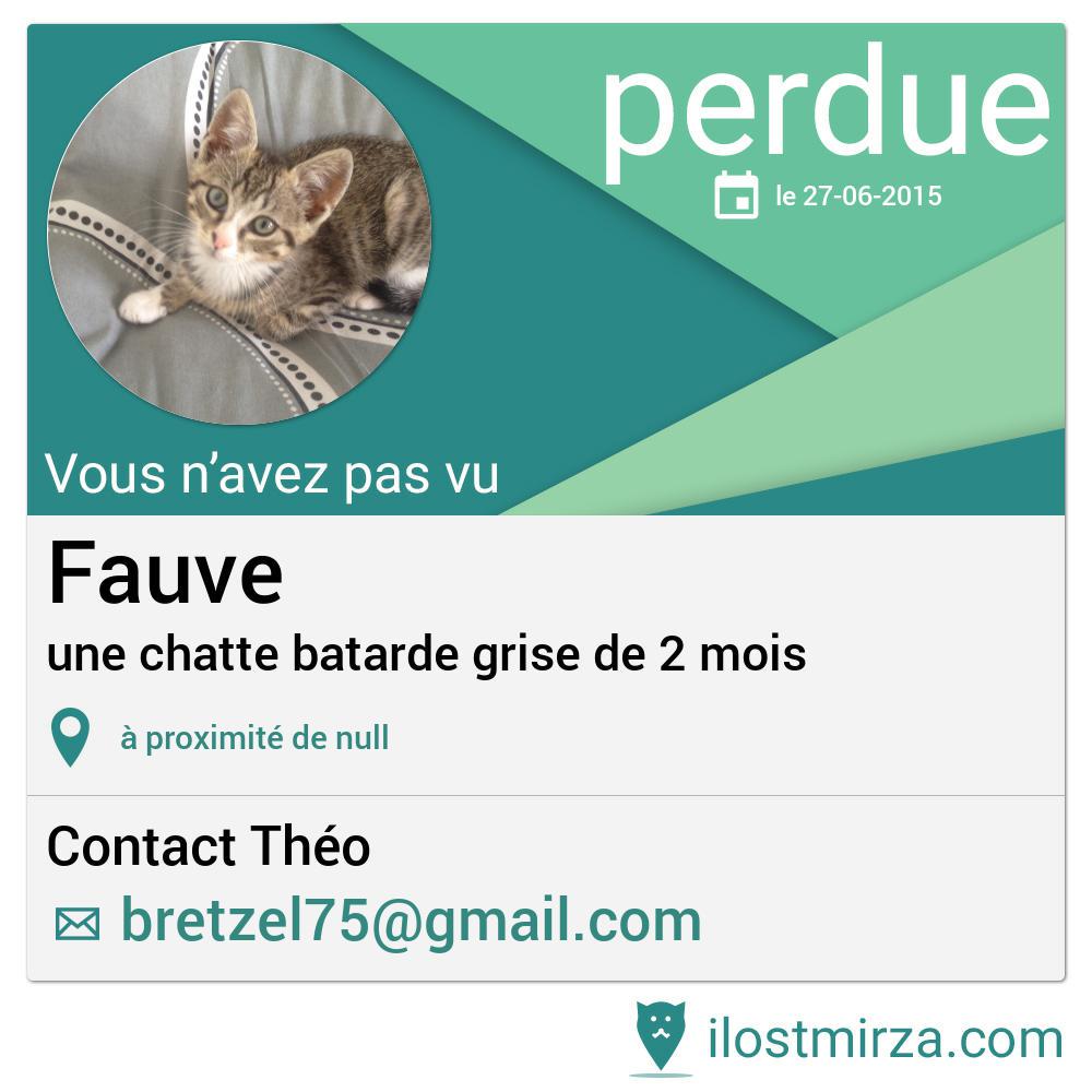 Vous pouvez aider Théo à retrouver son chat Fauve en diffusant cette annonce  ! ilostmirza.fr/display.php?id…