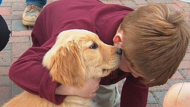 abc_es's tweet photo. Los beneficios que aporta un animal de compañía a tu hijo. Una mascota enseña valores http://t.co/hAAktxv4YZ http://t.co/oY6cITKAvO