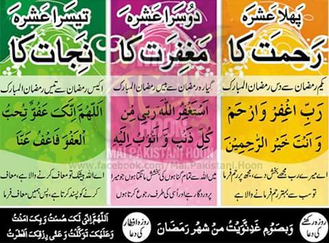 saifullah922 tweet picture