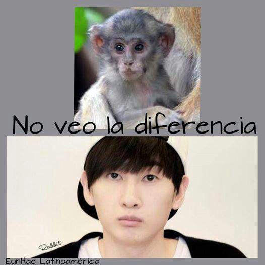 sihaes's tweet photo. rotfl http://t.co/NjrlEY0mXB