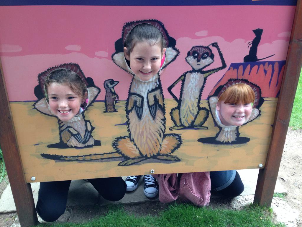 Brynhyfryd Juniors tweet media