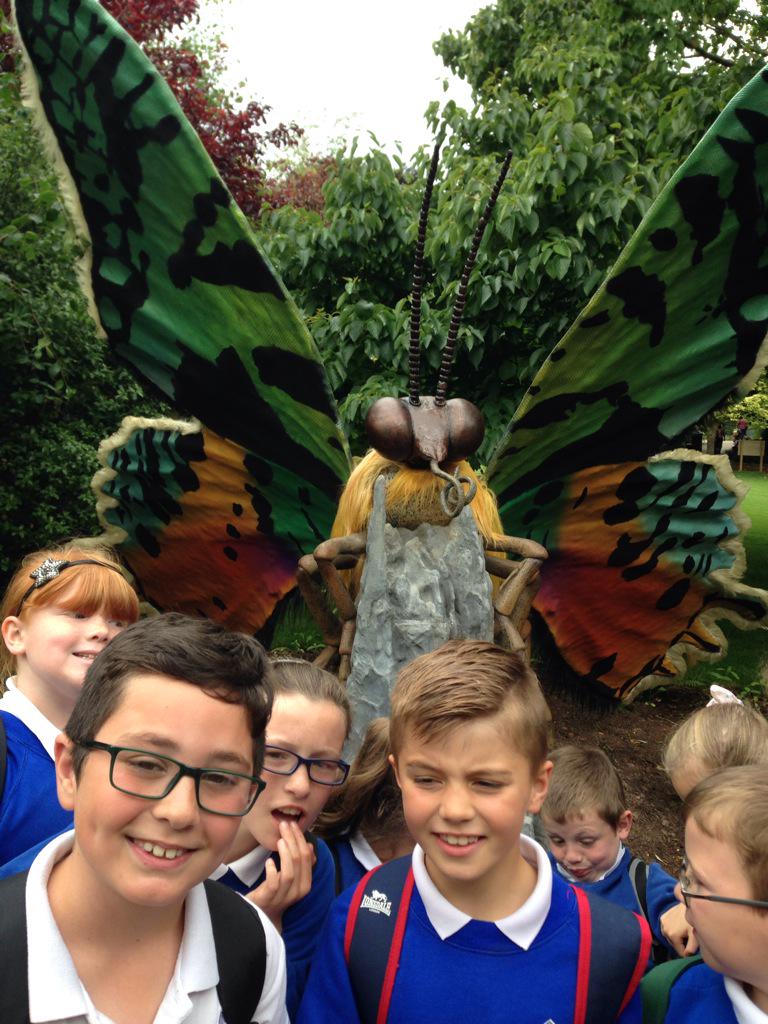 Brynhyfryd Juniors tweet media