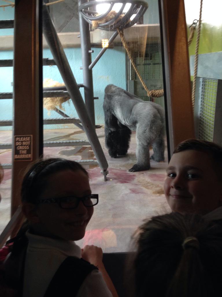 Some more pics of Bristol Zoo.