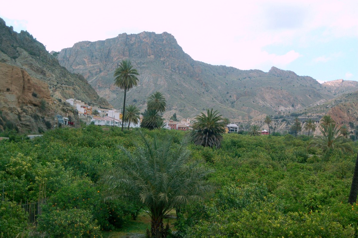 Buenos días desde Ojós, maravilloso enclave del Valle de Ricote.<a href="/TurismodeMurcia/">Turismo de Murcia</a> <a href="/ValledeRicote/">Valle de Ricote</a> <a href="/DescubreMurcia/">Descubriendo Murcia</a>