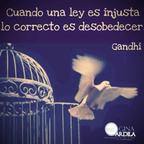 GinArdila's tweet image. ¿Q es la verdad? Pregunta difícil pero la he resuelto escuchando siempre mi #VozInterior @GinArdila #Actitud #BeHapi