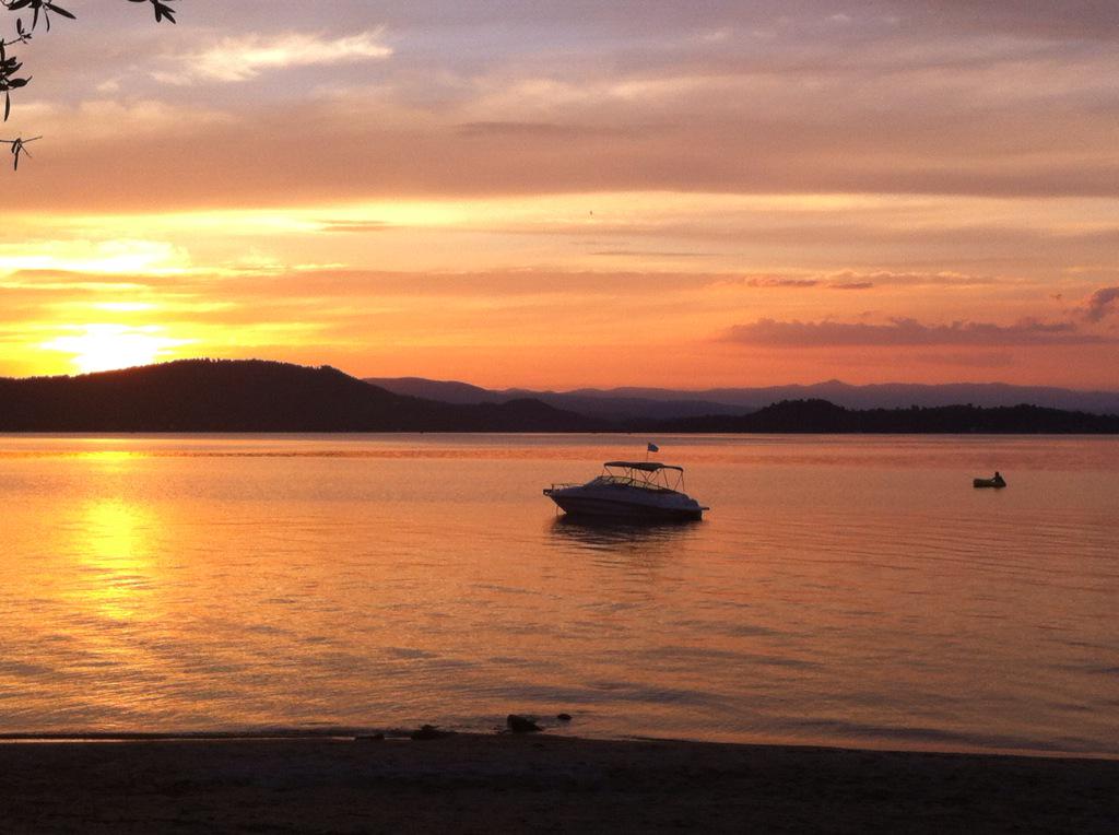 Harry Mitsidis tweet media