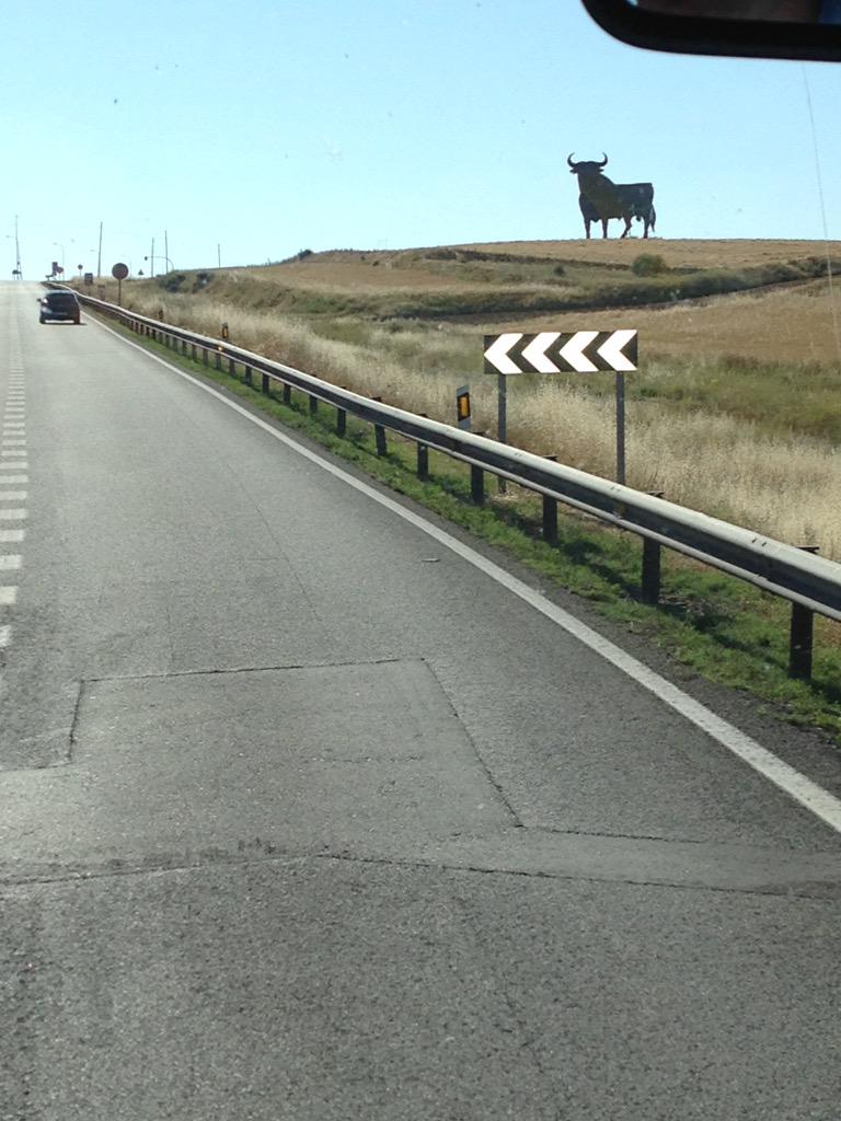 BeccaMesiner's tweet image. #usfworld Bulls Country in España