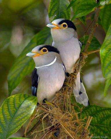 KhanMembar's tweet photo. @KhanMembar kh http://t.co/Q4BYHWjLhO