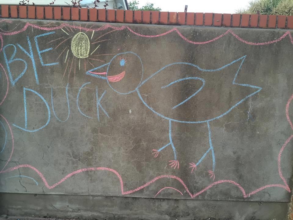 Something amazing is unfolding in #Bray facebook.com/pages/Ducks-fo… #ducksforgeorgia