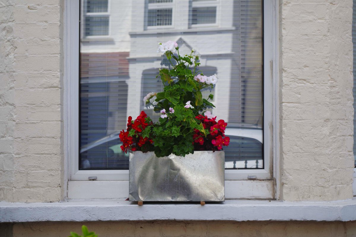 inbloom2015's tweet photo. Some of the beautiful blooms in Cliftonville #inbloom #margate #cliftonville #surreyroad #norfolkroad http://t.co/Qo6iIOEa5M