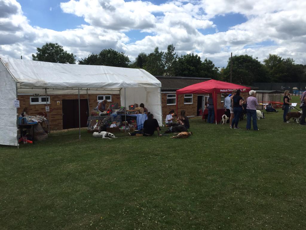 Roade Fun Dog Show where Lauren is lending a hand. Beautiful day and great event! #tescointhecommunity #charity