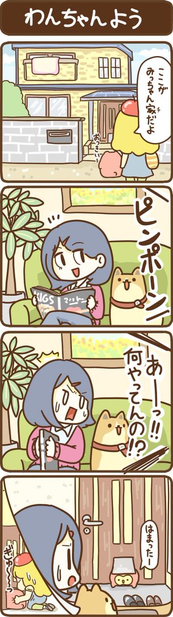 うちのももちゃん 33 #うちのももちゃん 