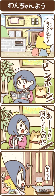 うちのももちゃん 33 #うちのももちゃん 