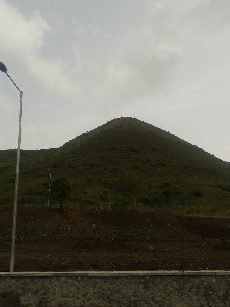 InfoAgostini's tweet photo. Día nublado en Nashik. India!
Visita a viñedos. Poda especial en verde. Todo el año vegetando http://t.co/DavXNk5T24