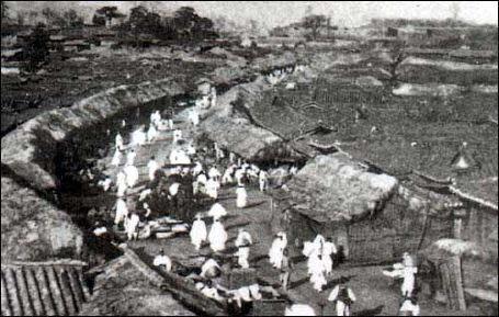 朝鮮にの山に木は無かった。 子孫のことは考えず、切りっぱなしだから。 自分のことしか考えない民族