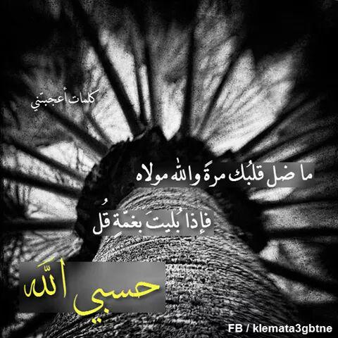 mariamahmad0032 tweet picture