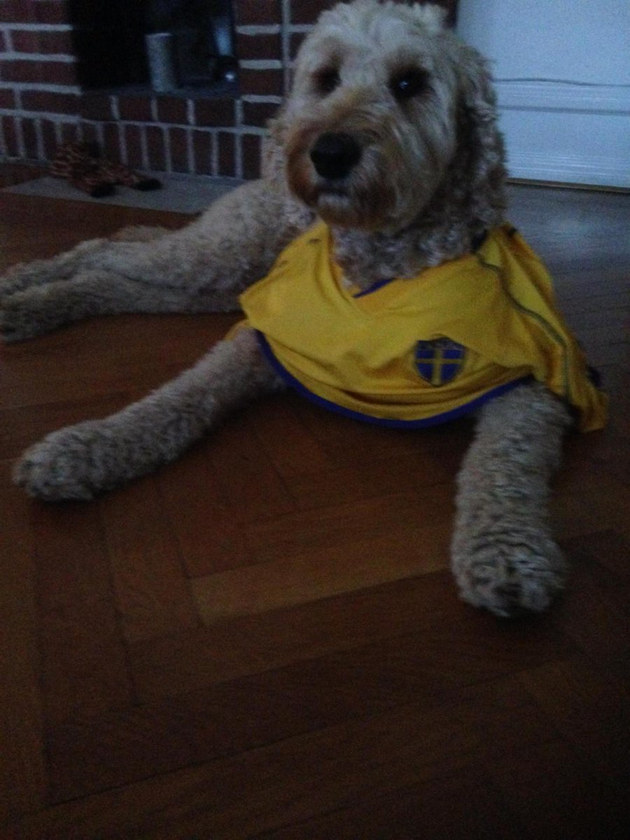 Elevenpoints's tweet image. Soccer time - Bring on the Danes !