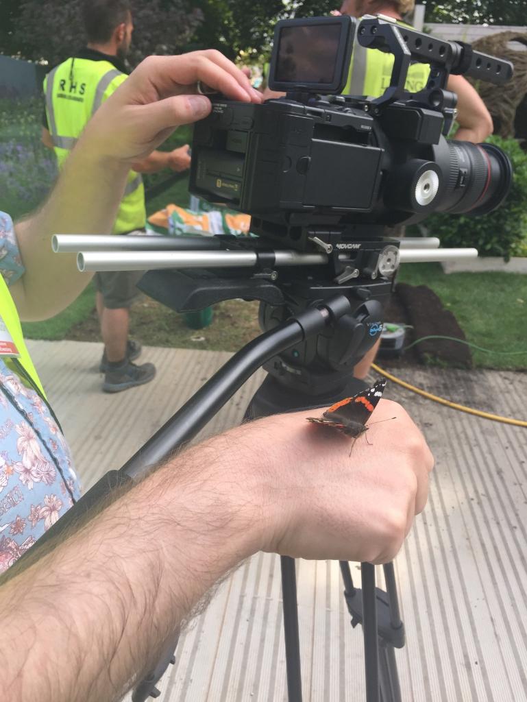 CherryVideo's tweet image. Trying to operate our @sonyproeurope #FS700 whilst carrying this wasn't easy! #HamptonCourt.