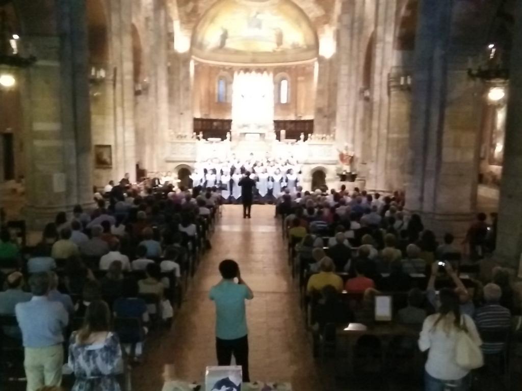 CompMechPV's tweet image. Concerto Ticinum gospel choir per la stampa 3D aiuta il tuo chirurgo!